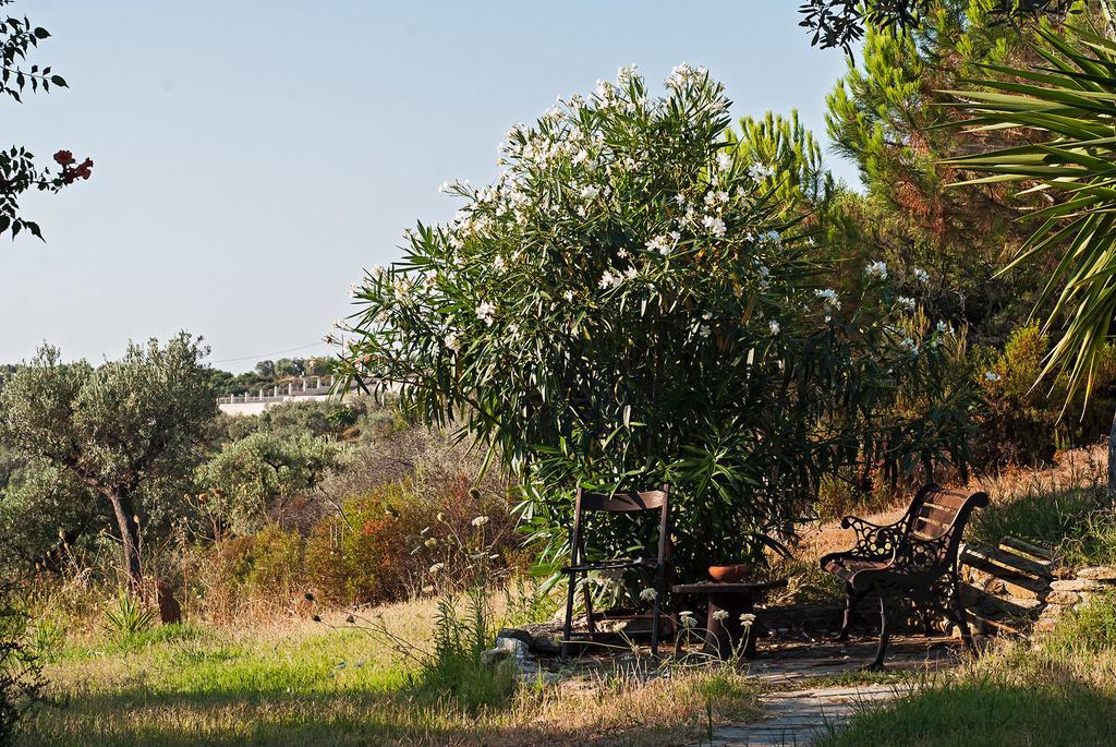 Kortiri Studios Agios Nikolaos  Buitenkant foto