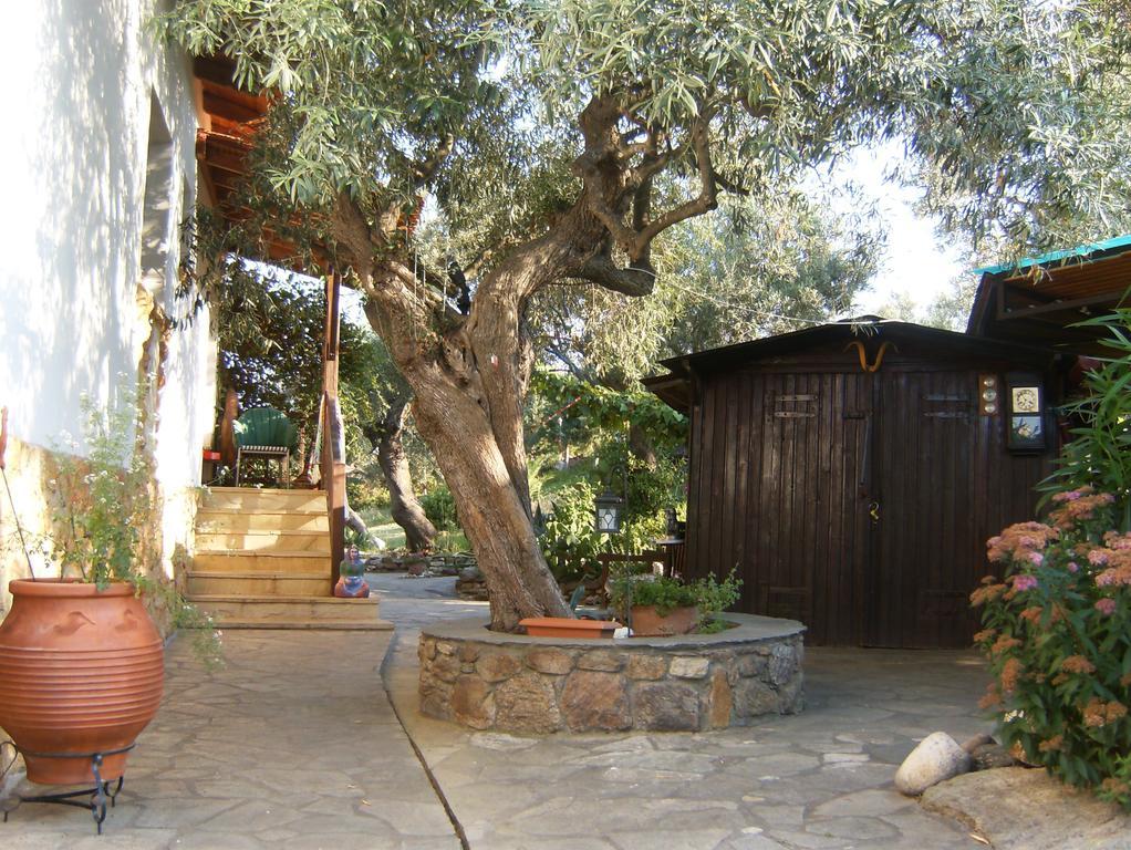 Kortiri Studios Agios Nikolaos  Buitenkant foto